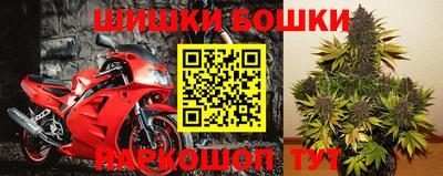 ГАЛЛЮЦИНОГЕННЫЕ ГРИБЫ Заволжье