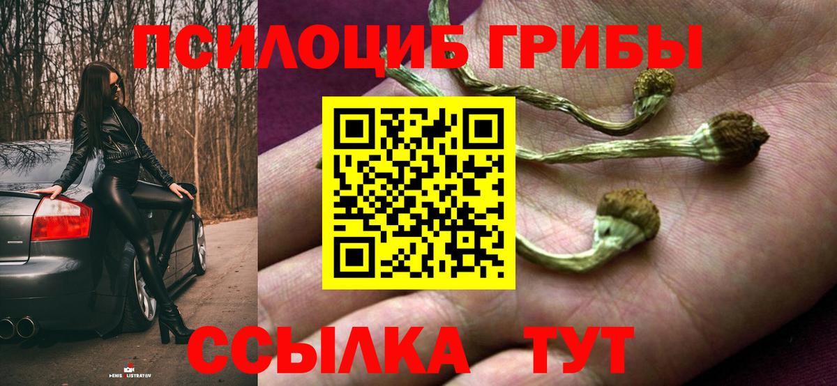 Псилоцибиновые грибы MAGIC MUSHROOMS Магнитогорск
